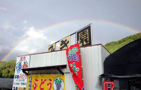 虹